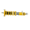 Ohlins Road and Track Coilover suspension kit for Nissan Skyline GTR R33/R34 NIS MI10